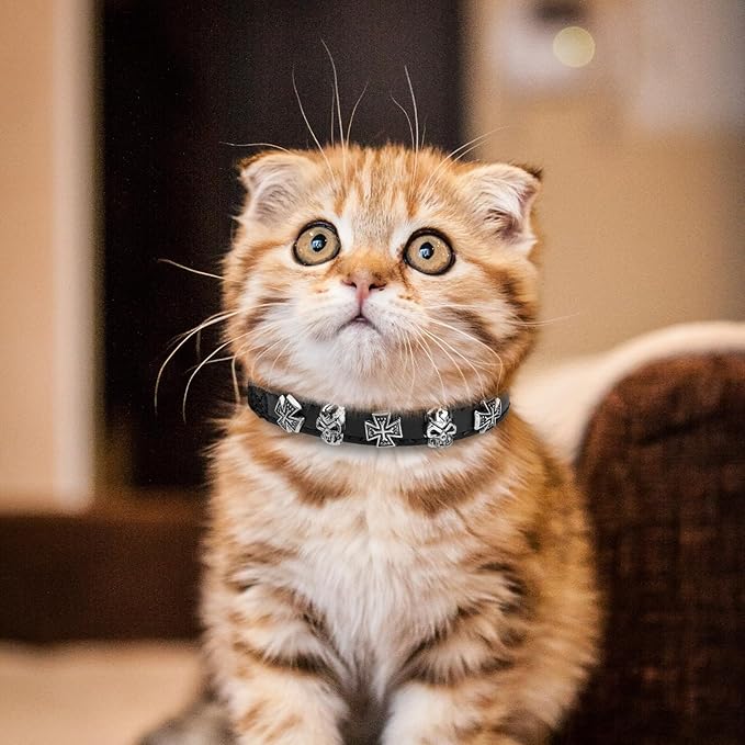 EXPAWLORER Leather Cat Collar for Girl Boy- Adjustable Pet Collar with Safety Elastic Belt,Personalized Punk Accessories Buckle Collars with Bell & Durable D-Ring, Skull(Black)