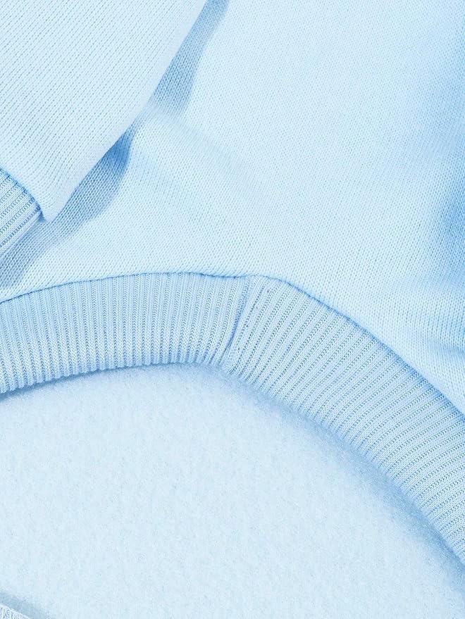 QWINEE Basic Dog Hoodie Sweatshirt Puppy Sweater Warm Cat Costumes Pet Clothes for Chihuahua Puppy Kitten Small Medium Dogs Light Blue Medium