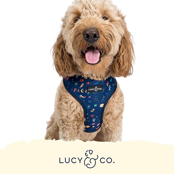 Lucy & Co. Space Doodle, Cute Reversible Dog Harness Walking Halter - Best Designer Pet Harnesses for Medium Dogs - Padded Adjustable Vest for Easy Walking (Large)