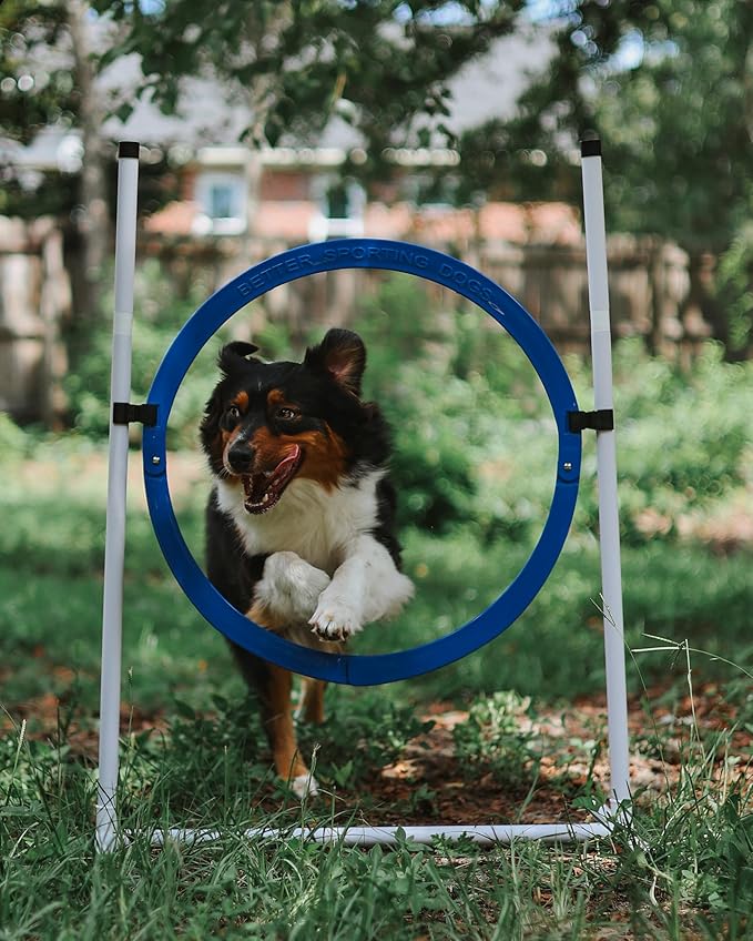 Better Sporting Dogs Premium Starter Dog Agility Set w/Safety-Focused Features | 5Pc Agility Kit | Bar Jump w/Cup Strips | Breakaway Tire Jump | Weave Poles | 10’ Tunnel & Sandbags | Pause Box