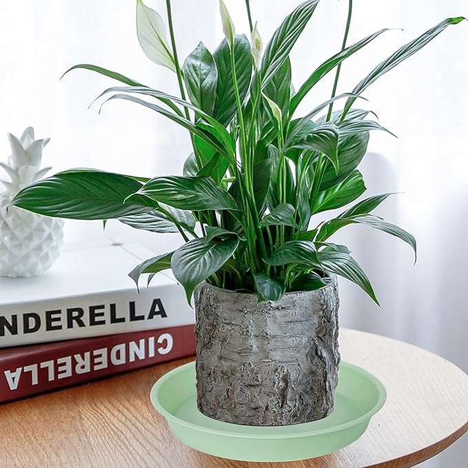 6 Pack of 12 inch Plant Saucer, Heavy Duty Plastic Plant Saucer 12" Round, Durable Plant Tray for Pots, Plant Saucers for Indoors, Plant Trays for Planter (12", Light Green)