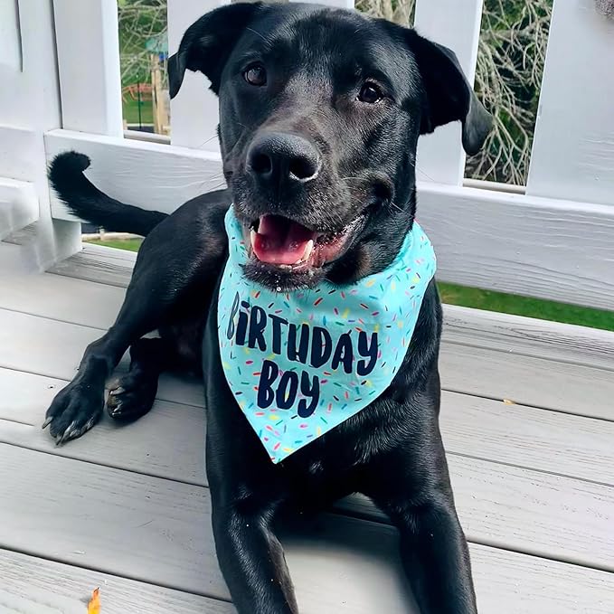 Birthday Boy Dog Bandanas 1 Pack, Blue Birthday Dog Scarfs, HBD Pet Scarves for Birthday Boy Party Bandanas for Small and Medium Dogs (Blue, Small)