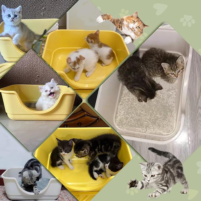 2 Pack Low Entry Small Litter Box for Kittens, Kitty Plastic Litter Boxes, Open Top, Anti-Splash High Sided Litter Tray Pan for Medium Pets, Puppy, Easy to Clean, 15.7"L*11.8"W*6.7"H (Beige)