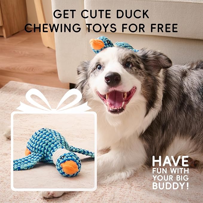 Homemate Dog Beds Large Sized Dog: 36x27 inch Orthopedic Large Dogs Bed XL Outdoor Pet Cat Bed Sofa Supplies with Toy Dogs Crate Pad Couch with Removable Washable Cover & Non-Slip Botton Brown