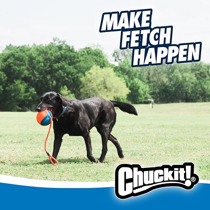Chuckit! Rope Fetch Dog Toy - Ball on Rope Fetch and Tug-of-War Toy for Dogs - Durable EVA Rubber Construction - 5.5-inch Diameter - 18-inch Rope - Orange and Blue