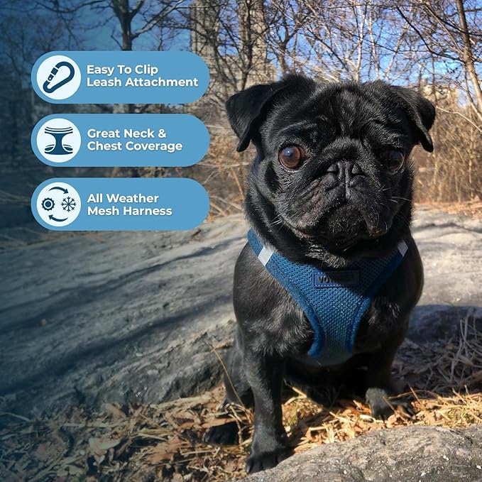 Best Pet Supplies Voyager Step-in Air All Weather Mesh Harness and Reflective Dog 5 ft Leash Combo with Neoprene Handle, for Small, Medium and Large Breed Puppies - Harness Leash Set (Blue), M