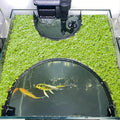 Floating Plant Corral for Aquarium, Fish Tank Accessories to Protects Duckweed from Filters, Automatically Adjusts Height According to Water Level, Suitable for All Duckweed and all aquariums(Style 2)