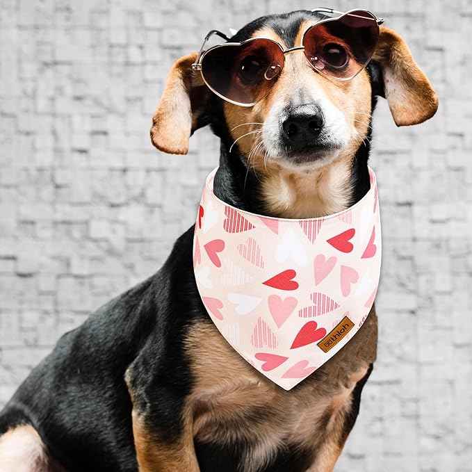 Valentines Dog Bandanas with Snap Button - 2 Pack Reversible Heart Dog Scarf for Boy & Girl, Premium Durable Fabric, Pet Bandana for Medium and Large Dogs (Large)