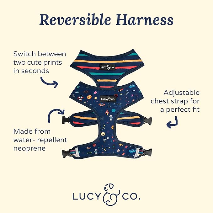 Lucy & Co. Space Doodle, Cute Reversible Dog Harness Walking Halter - Best Designer Pet Harnesses for Medium Dogs - Padded Adjustable Vest for Easy Walking (X-Small)