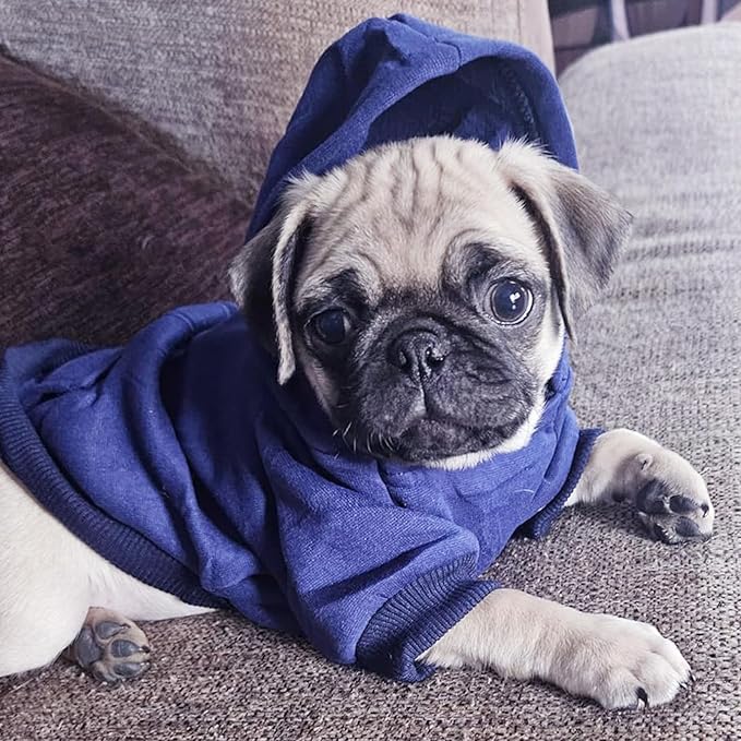 Jecikelon Winter Dog Hoodie Sweatshirts with Pockets Warm Dog Clothes for Small Dogs Chihuahua Coat Clothing Puppy Cat Custume (Navy, XX-Small)