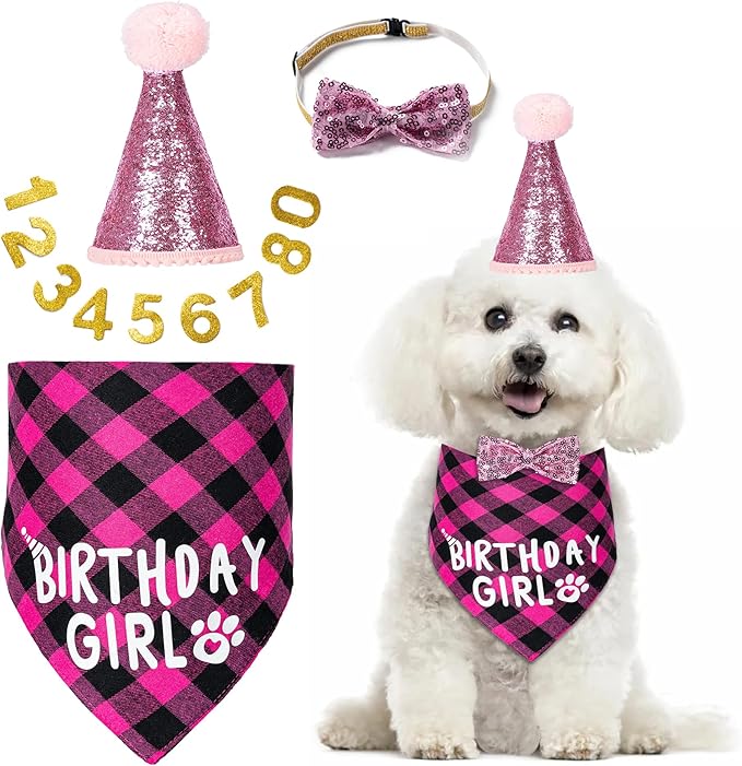 Dog Birthday Party Supplies Decorations with Dog Bandanas/Birthday Hat/Bow Tie Collar with 0-8 Numbers, for Medium Small Dogs Pets (Large, Pink)