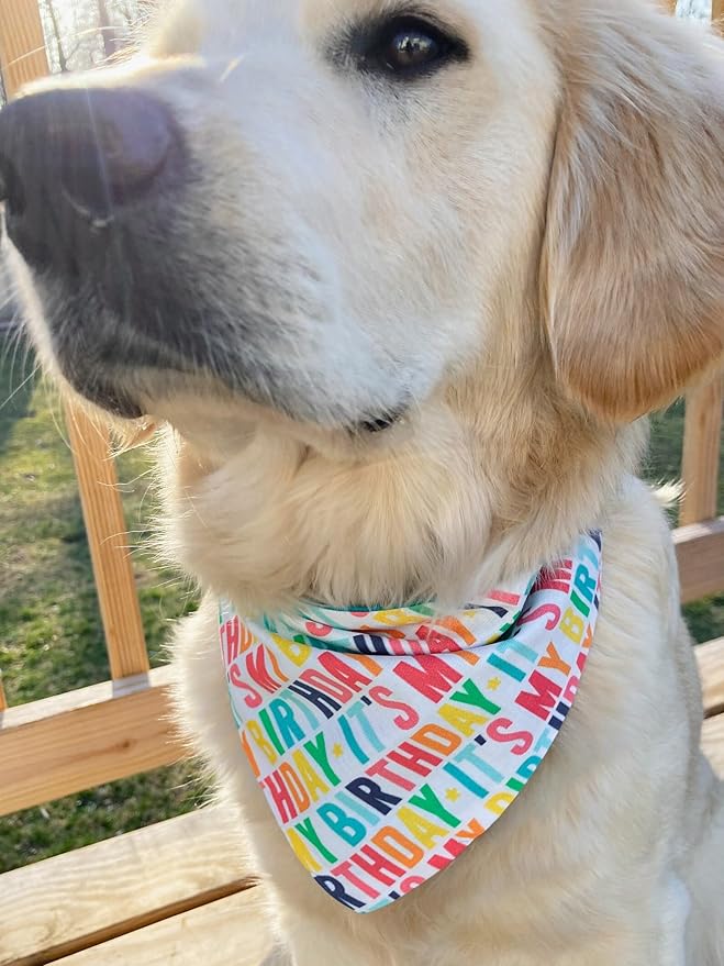 Birthday Dog Bandanas 1 Pack, Colorful HBD Dog Scarfs for Boy and Girl, Pet Scarves for Boy and Girl Bandanas for Small Medium Large Dogs (It's My Birthday, One Size)