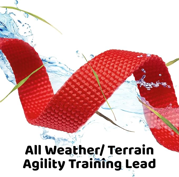 Long Dog Puppy Obedience Recall Training Agility Lead, Leash GREEN, BLACK, RED, BLUE, or ORANGE - by, Pet Supply City, LLC (20 feet)