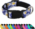 Reflective Dog Collar, Adjustable Soft Neoprene Padded Nylon Pet Collars with Buckle for Puppy and Small Dogs, Cats, Small Daisies Blue,L