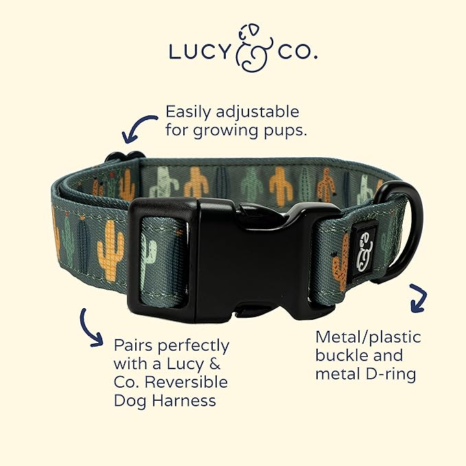 Lucy & Co. Looking Sharp Dog Collar - Durable Lightweight Designer Collar for Pets - Adjustable Metal Safety Buckle - Green Gold Cactus - Large