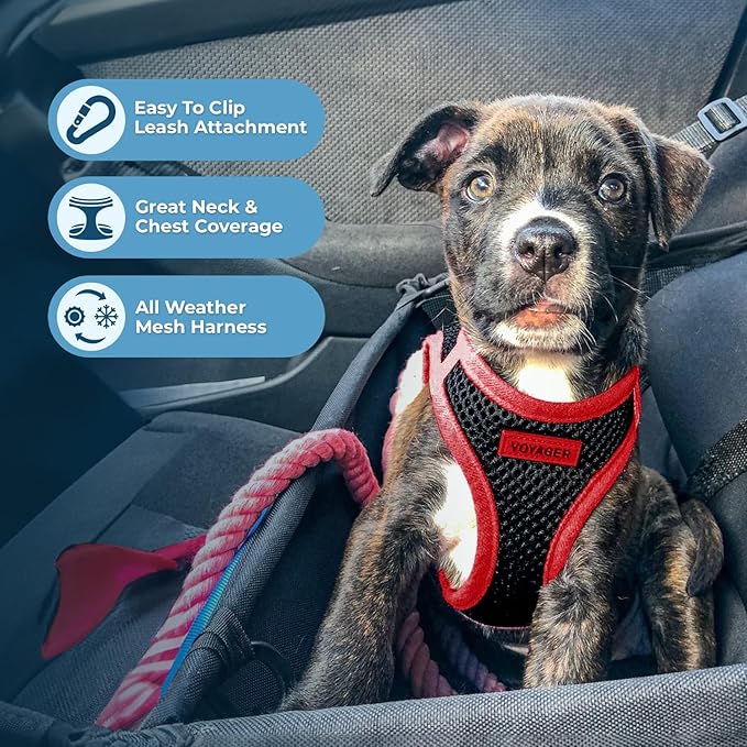 Best Pet Supplies Voyager Step-in Air All Weather Mesh Harness and Reflective Dog 5 ft Leash Combo with Neoprene Handle, for Small, Medium and Large Breed Puppies - Red Trim, M