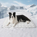 Bedsure Cooling Mat for Large Dogs – 41x28 Thin Washable Cooling Pet Pad for Puppy, QMAX>0.5, XL Portable Kennel Puppy Bed for Summer, Non-Slip Summer Crate Pad for Big Dog Up to 80 lbs