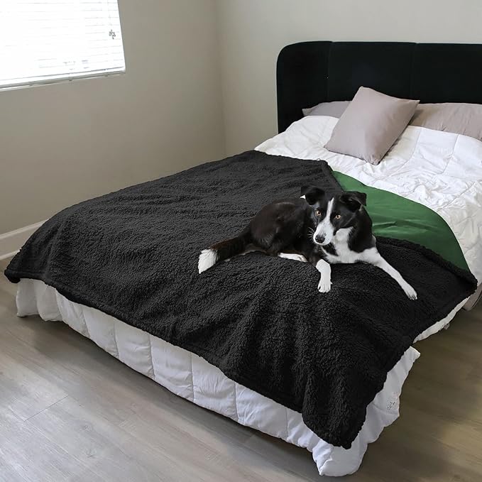 Kritter Planet Waterproof Bed Blanket, Washable Stain Proof Pad Bed Cover, Reversible Leakproof Furniture Protector, Liquid Pee Proof Blanket for Couch Sofa, 80x60 inch, Queen Size