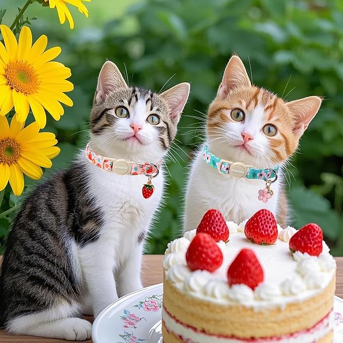 Cat Collar,2 Pack Pink Flower Cat Collars Breakaway with Bell, DOGWONG Safety Buckle Pink Flower Cat Collar for Girl Female Cats，Adjustable 7-12 Inch