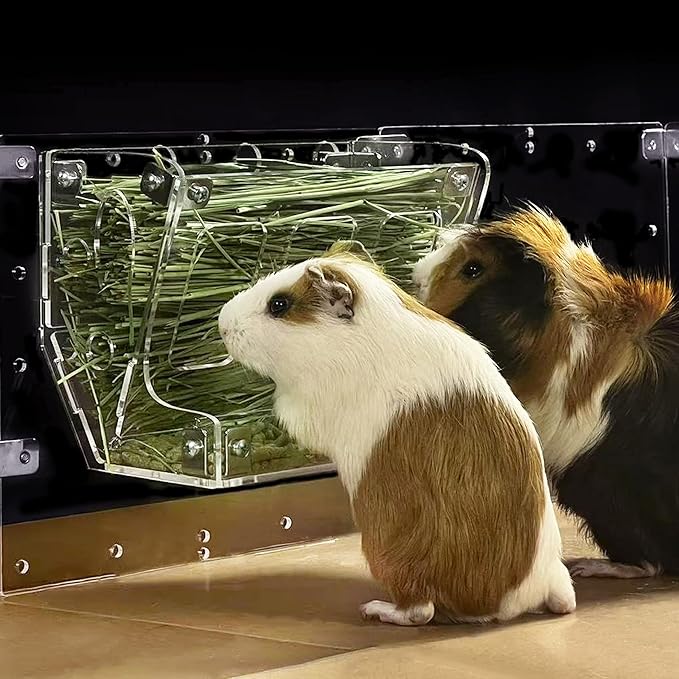 GuineaLoft™ 2-in-1 Hay & Food Feeder for Guinea Pigs, Rabbits & Small Pets – No-Waste Hay Rack with Dual-Compartment Bowl, Easy Cage Mount, Space-Saving Design
