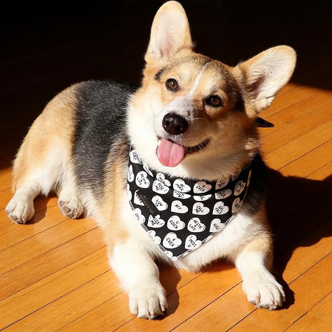ARING PET Valentine's Day Dog Bandana, Cute Black White Pet Bandanas Scarf Triangle Bibs Handkerchief for Puppy Small Medium Large Boy Girl Dogs-S