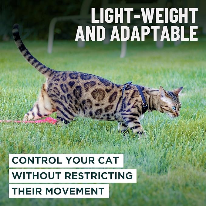 Houdini™ Escape Proof Cat Harness and Leash Set by OutdoorBengal – Tactical Vest for Walking – Extra Large, Adjustable, Long - Houdini Cat Harness Escape Proof for Large Cats + Leash (Multicolor, XL)