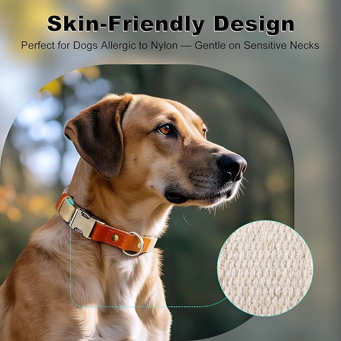 Plutus Pet Genuine Leather & Hemp Dog Collar – Adjustable Heavy Duty Pet Collar with Quick Release Metal Buckle, Soft & Stylish for Puppy and Small, Medium, Large Dogs (Beige, M)
