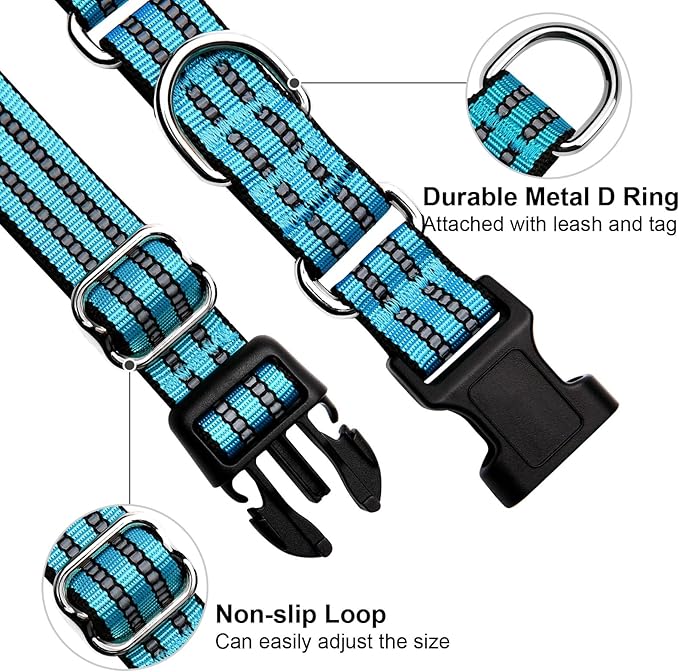 Martingale Dog Collar, Adjustable Nylon Reflective Collar with Buckle No Pull Dog Collar for Small Medium Large Dogs (Blue M)