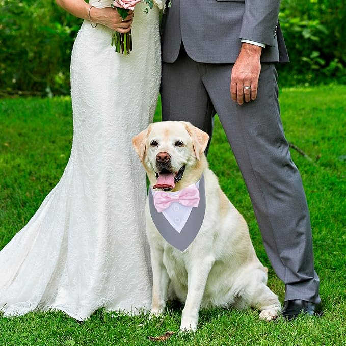 ADOGGYGO Formal Dog Tuxedo Wedding Pet Bandana Collar with Bowtie, Adjustable Birthday Wedding Formal Tux Costumes for Medium Dogs Pets (M, Grey)