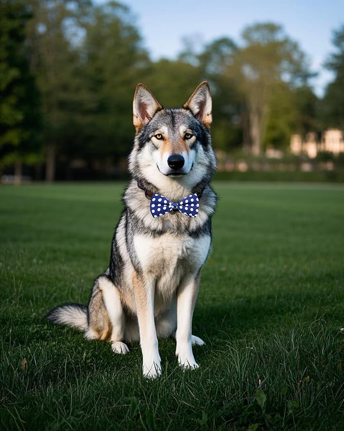 PET SHOW 10 Pack Pet Big Dogs Collar Embellishment Attachment Bow Ties for Medium Large Dogs Collar Charms Accessories Slides Bowties for Birthday Wedding Parties Assorted A Style Assorted B Styles