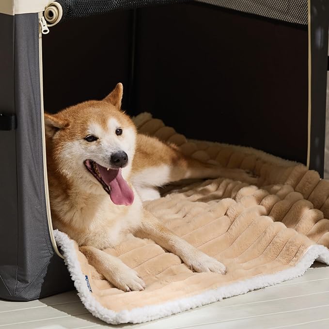 Bedsure ComfyFleece™ Waterproof Dog Blankets for Large Dogs - Soft Pet Cat Blanket Corduroy Fleece for Couch Protector Washable, Cozy Calming Reversible Furniture Protection,40"x50", Tuscan Beige