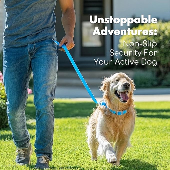 4.2FT Dog Collar and Leash Set, PVC Waterproof Adjustable Odor Proof Pet Collars Leashes, Easy to Clean, Surface 3D Cube Effect, Dog Leash for Small Dogs, Sky Blue