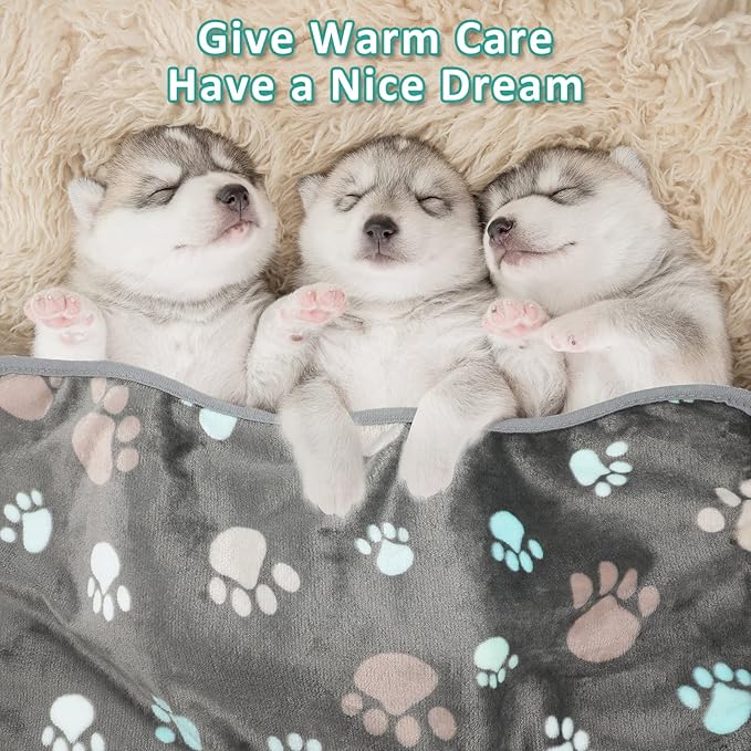 Tegeme 12 Pcs Pet Blankets Soft Fluffy Fleece Dog Cat Warm Paw Print Pattern Blankets Flannel Throw for Pets Dog Puppy Cat(23 x 16 Inch,Dark Gray)