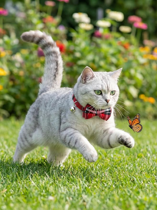 THAIN Cat Collar Breakaway with Bell and Bow Tie Safety Buckle Red Plaid Pattern Adjustable 7-11 inches for Kitten Cats(Red Plaid)