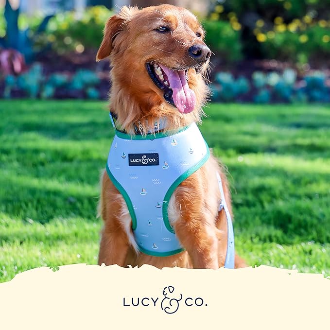 Lucy & Co. Set Sail Reversible Harness, Walking Halter - Best Designer Pet Harnesses for Small Dogs - Padded Adjustable Vest for Easy Walking, X-Small, Blue & White Stripes & Sailboats
