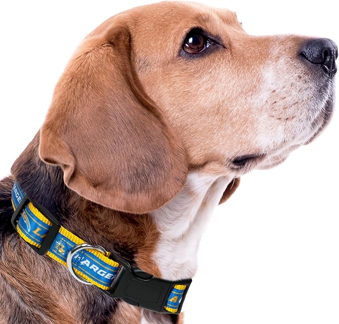 NFL PET Collar Los Angeles Chargers Dog Collar, Medium Football Team Collar for Dogs & Cats. A Shiny & Colorful Cat Collar & Dog Collar Licensed by The NFL