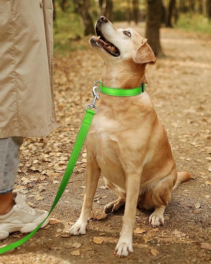 TagME Reflective Nylon Dog Collars, Adjustable Classic Collar with Quick Release Buckle for Extra Large Dogs, Green, 1¼" Width