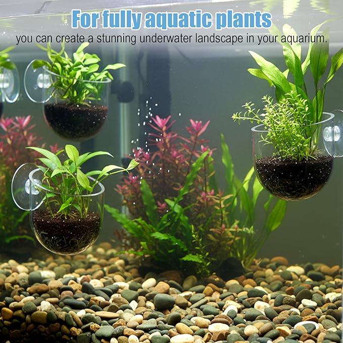 3 Pack Aquarium Plant Holder Clear Fish Tank Plant Holder Fishes Tanks Plants Pot Acrylic Aquarium Planter Cup with Suction Cups for Home Aquariums Aquascape Decor, Red Worm Fish Shrimp Feeder