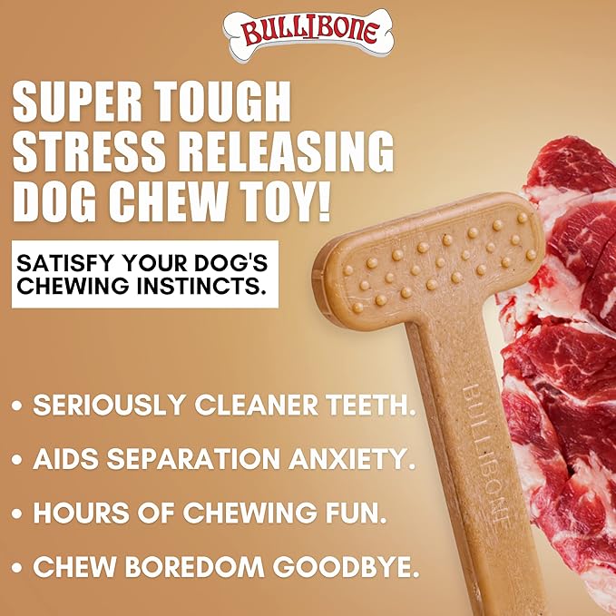 Bullibone Nylon Dog Chew Toy for Aggressive Chewers - Dental Hygiene Bone with Beef Flavor, Durable Tough Chew Toys for Small Dogs, Indestructible Dog Bone - Single