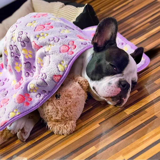 Tatuo 4 Pcs Dog Blanket for Pet Puppy Teething Toys Paw Print Fleece Blanket for Pet Cat Soft Warm Sleep Mat Guinea Pig Cage Mat(Small(24 x 16 Inch),Purple)