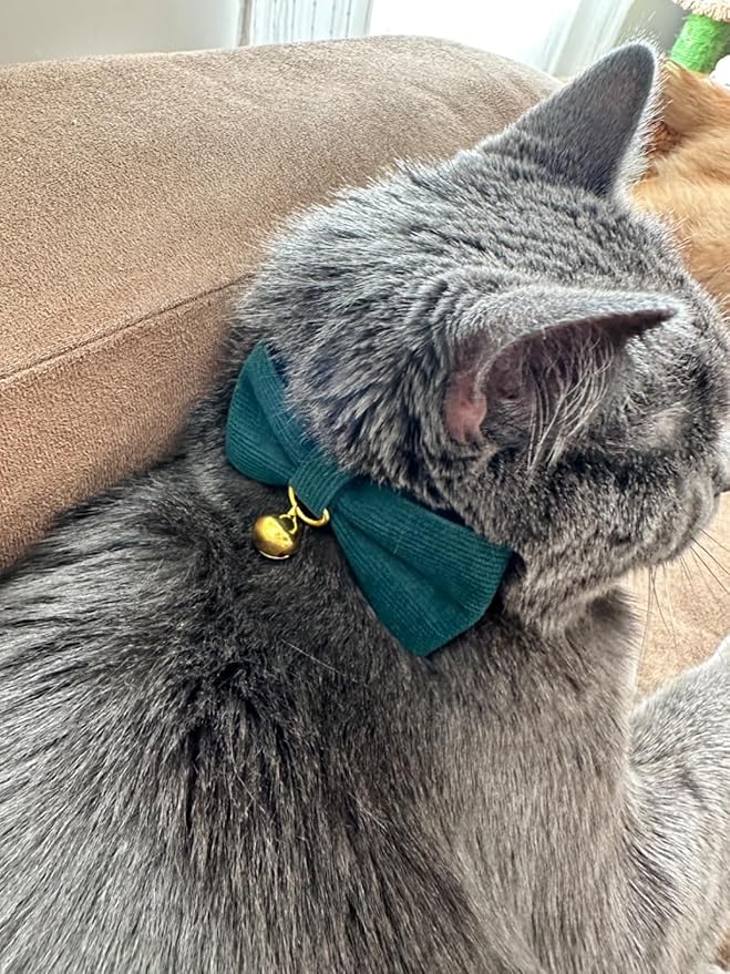 Soft Corduroy Cat Collar with Bell and Bowtie, Safety Breakaway Clasp, Adjustable for Kitten and Cats Green Color.
