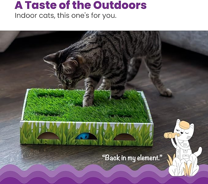 Catstages Grass Patch Hunting Box - Interactive Indoor Cat Toy with Faux Grass & 3 Jingle Balls - Encourages Exercise, Mental Stimulation & Natural Hunting Instincts