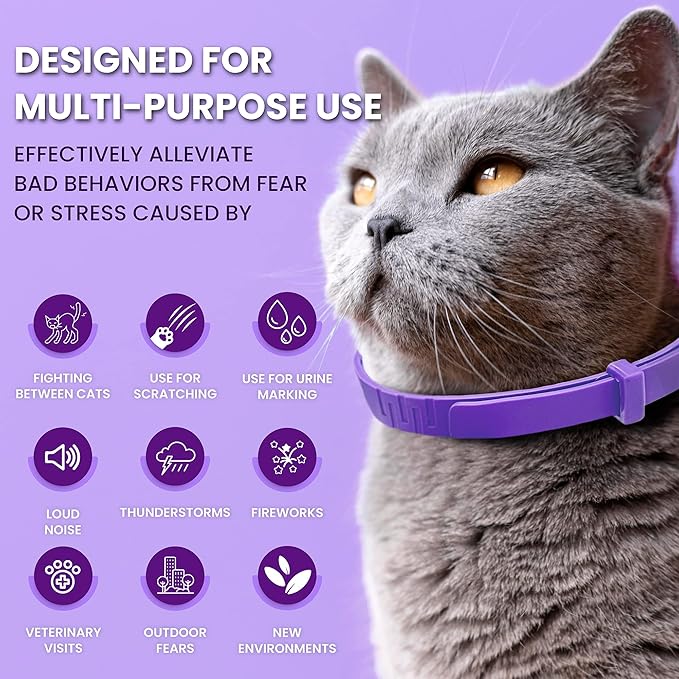 Pheromone Calming Collar for Cats: Breakaway Cat Calming Collar for Anxiety, Separation Stress, Multicat Aggression, Spraying, Meowing - for Indoor Use, Moving & Travel (M Purple)