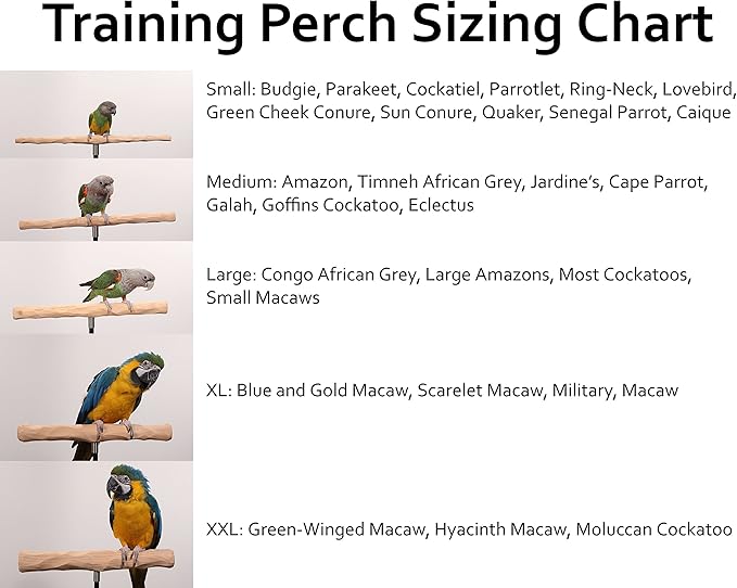 Parrot Training Perch Stand with Potty Tray (T Perch, Large)