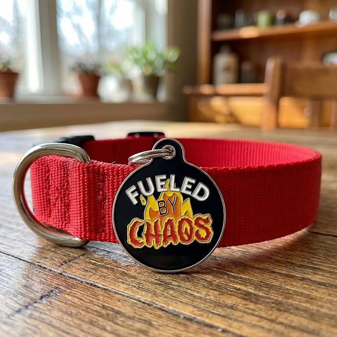 Bad Tags Personalized Dog and Cat ID Tags in 25+ Designs and 2 Sizes - 5 Lines of Custom Engraved Text - Funny Cute Personalized Pet Tags (Fueled by Chaos, Small (1 inch))