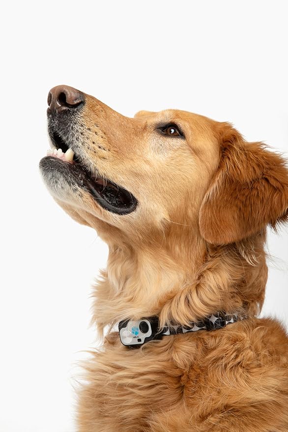 MS-5 Designer Series, Premium Performance Automatic Pet Door Collar by High Tech Pet Brand - Class A Battery Included - Stylish Design - Waterproof - Rugged - USA Support (Modern)