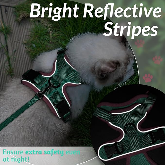 rabbitgoo Cat Harness and Leash for Walking, Escape Proof Soft Adjustable Vest Harnesses for Cats, Easy Control Breathable Reflective Strips Jacket, Green&Pink, XS