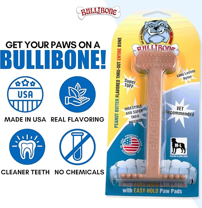 Bullibone Nylon Dog Chew Toy for Aggressive Chewers - Dental Hygiene Bone with Peanut Butter Flavor, Durable Tough Chew Toys for Extra Large Dogs, Indestructible Dog Bone - Single