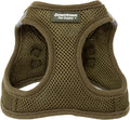 Downtown Pet Supply Step in Dog Harness for Small Dogs No Pull, X-Small, Hunter Green - Adjustable Harness with Padded Mesh Fabric and Reflective Trim - Buckle Strap Harness for Dogs