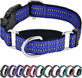 Hikiko Martingale Collar for Dogs Reflective Nylon Dog Collar with Quick Release Buckle Adjustable Training No Slip Dog Collar (X-Small, Blue)